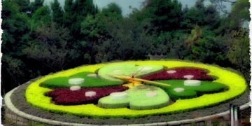 Ծաղկային ժամացույցներ